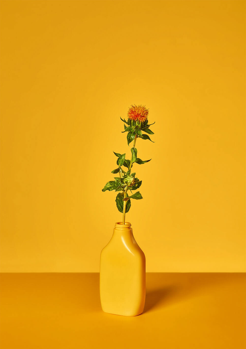 Vanessa Leissring zdjęcie kwiatów w butelce w pomarańczowej kolorystyce